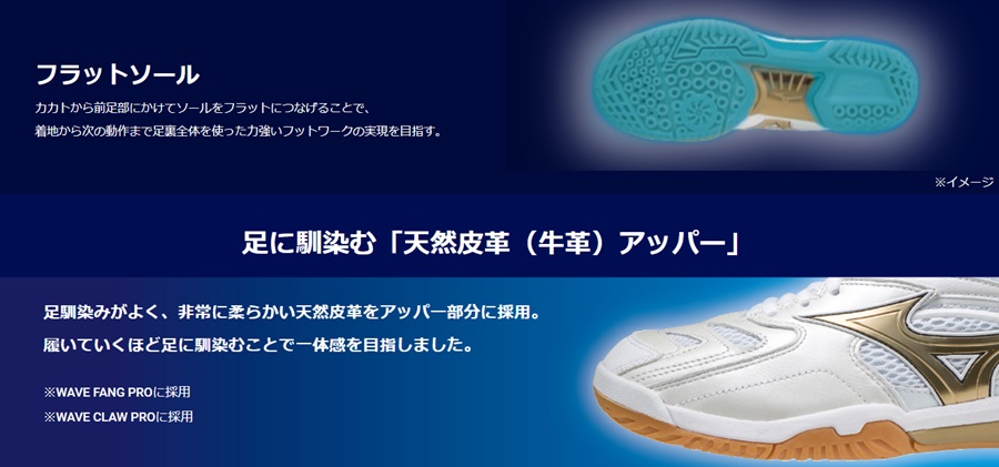 ミズノ バドミントンシューズ ウェーブファング2 ホワイト